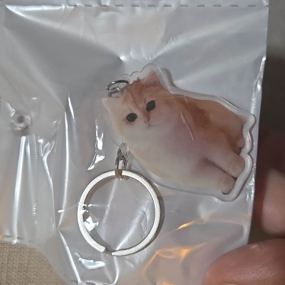 Cute Cat Keychain for Pet Lovers - Picture 4 of 4